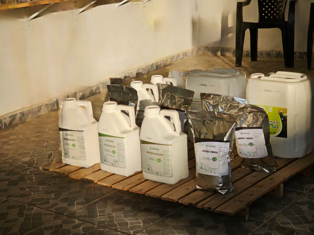 Insumos agrícolas organizados na loja Campo Vivo