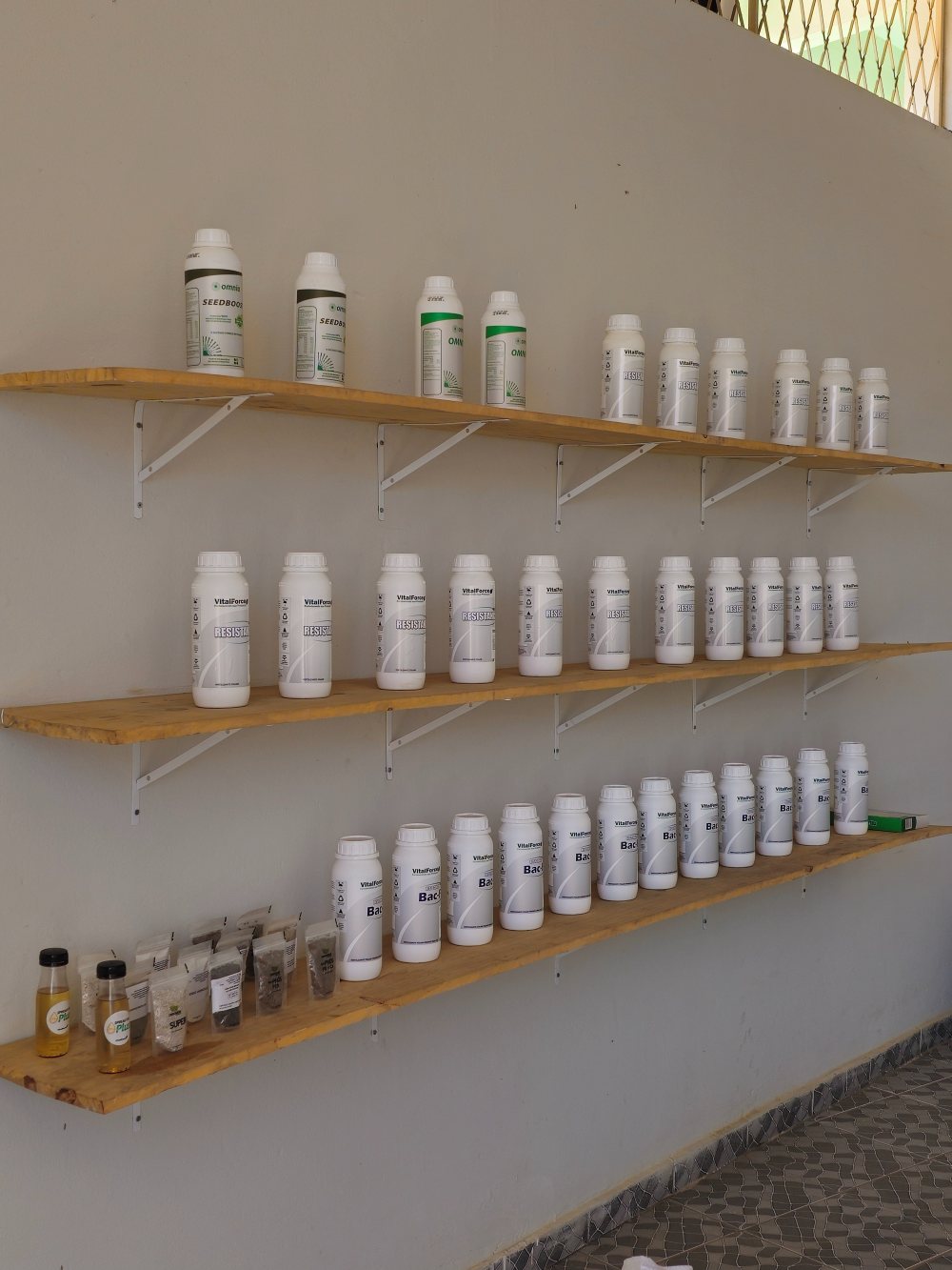 Prateleiras com produtos na loja Campo Vivo
